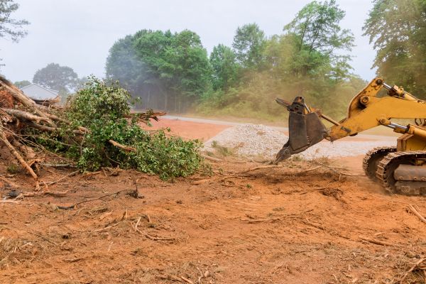 Ground Clearing in Massillon