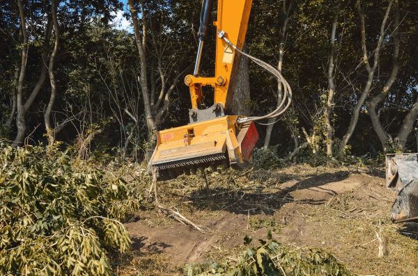 Brush Removal Service in Massillon