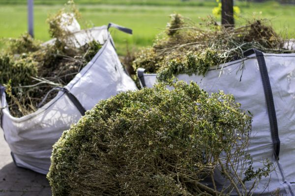 Cost of Bushes Clearing in Massillon