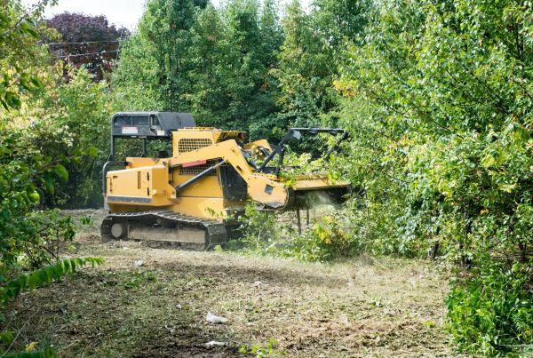 Cost of Pathway Clearing in Massillon