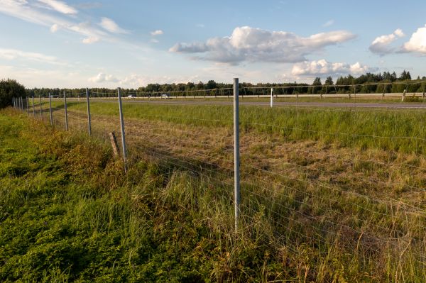 Cost of Property Line Clearing in Massillon