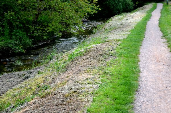 Cost of Trail Cutting in Massillon