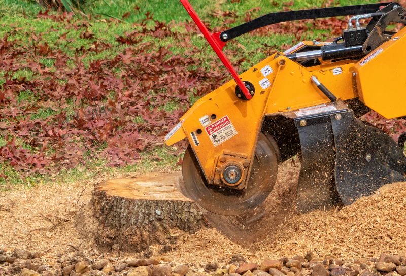 Stump Removal Equipment