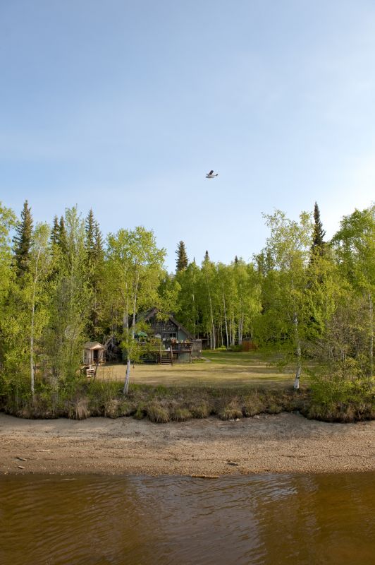 Clearing Trees and Brush